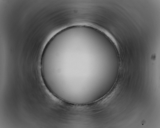 X0000101400951200807071026