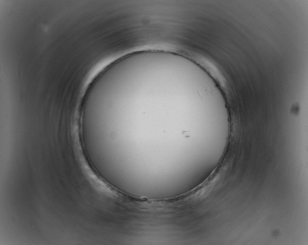X0000101400952200807071026