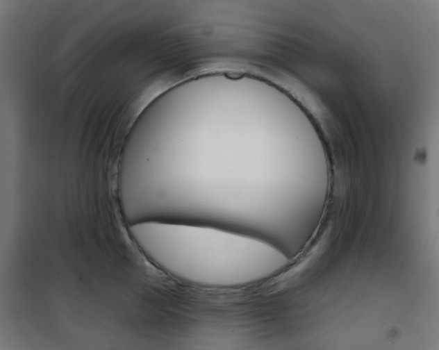 X0000101400953200807071026