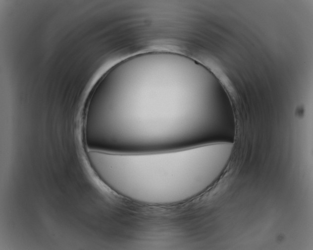 X0000101400955200807071026