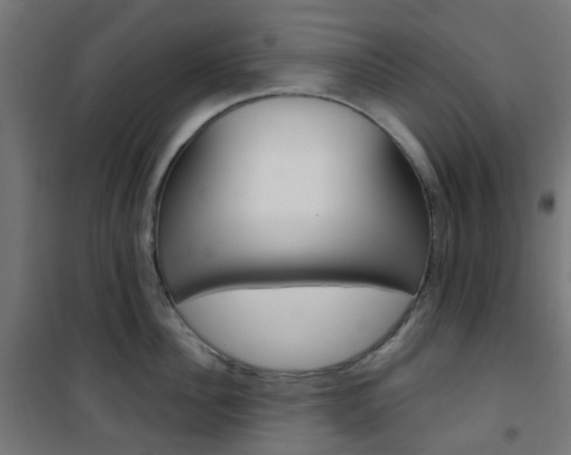 X0000101400956200807071026