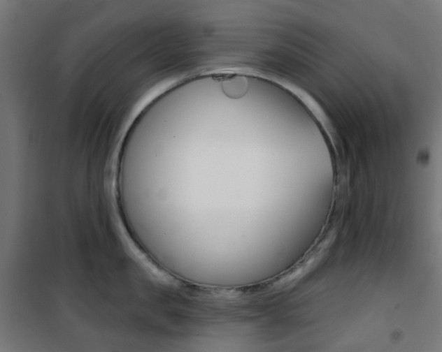 X0000101400957200807071026