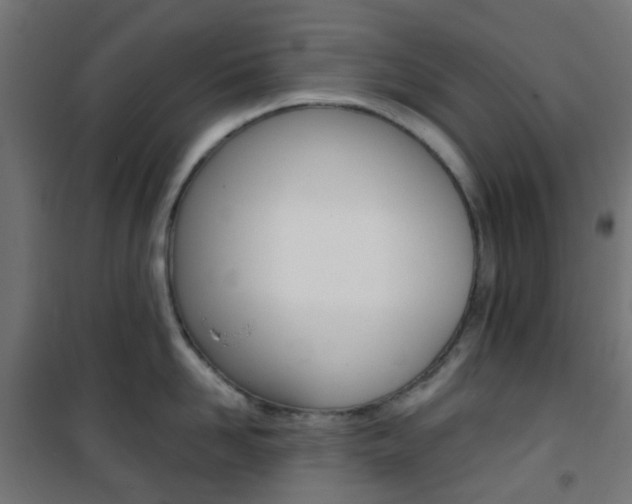 X0000101400958200807071026