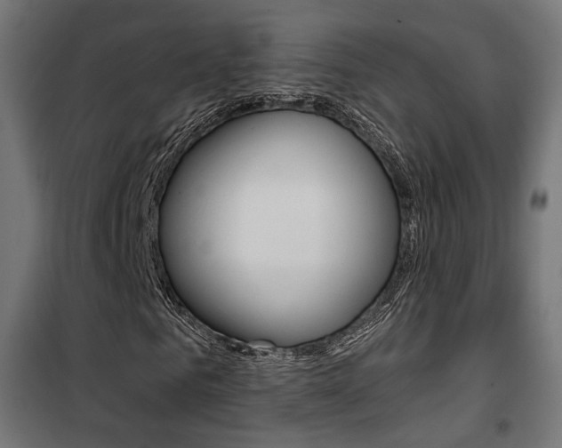 X0000101400961200807071025