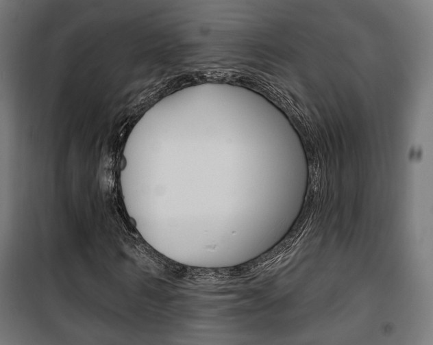X0000101400962200807071025