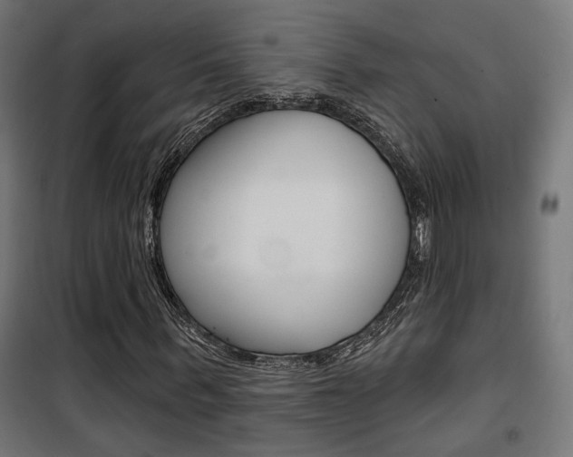 X0000101400963200807071025