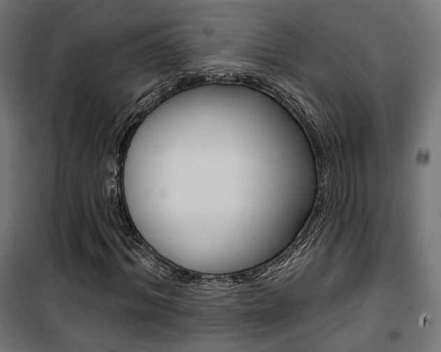X0000101400964200807071025