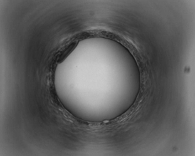 X0000101400965200807071025