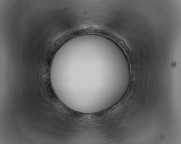 X0000101400966200807071025
