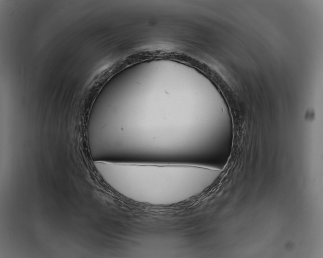 X0000101400967200807071025