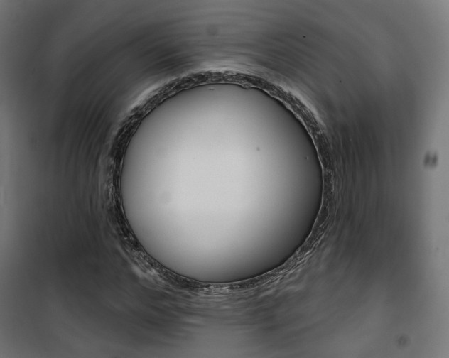 X0000101400968200807071025
