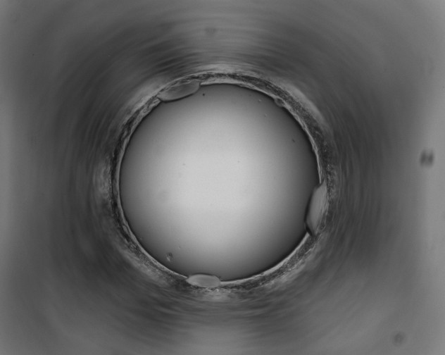 X0000101400969200807071025