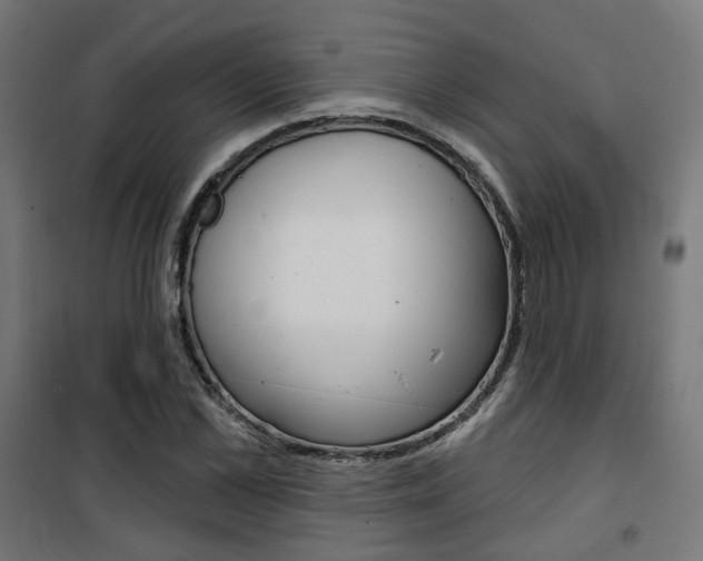 X0000101400973200807071025