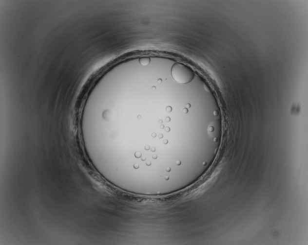 X0000101400974200807071025