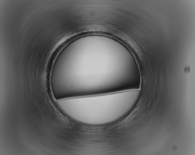 X0000101400975200807071025
