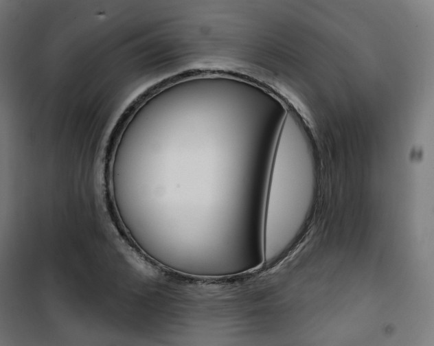 X0000101400976200807071025
