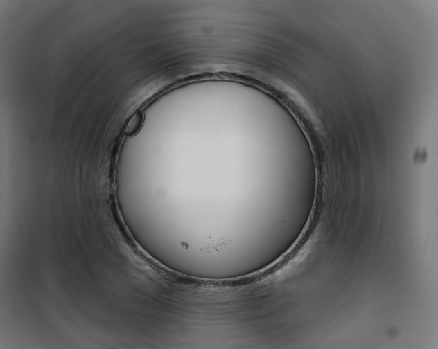 X0000101400977200807071025