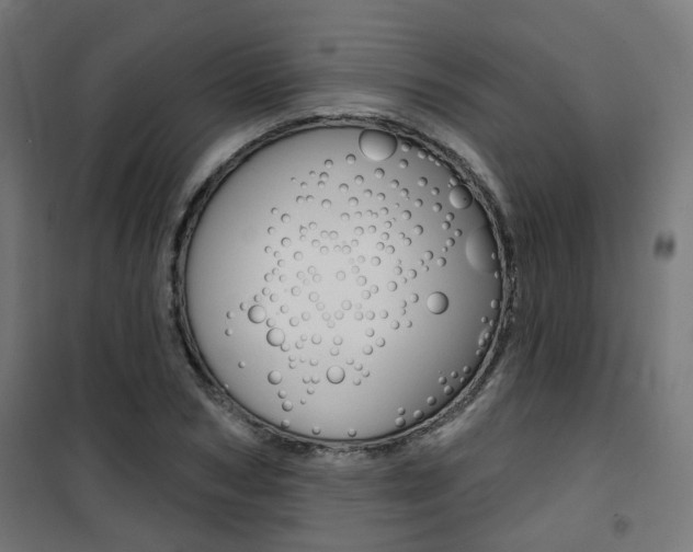 X0000101400978200807071025