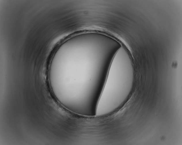 X0000101400979200807071025