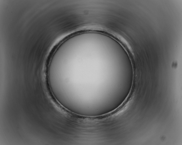 X0000101400981200807071025