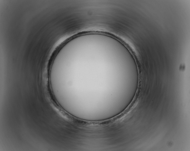 X0000101400982200807071025