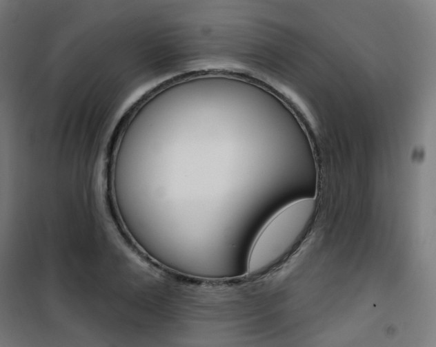 X0000101400983200807071025