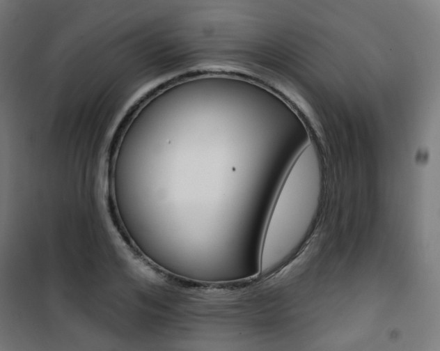 X0000101400984200807071025
