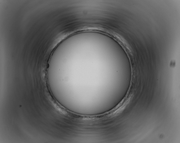X0000101400985200807071025