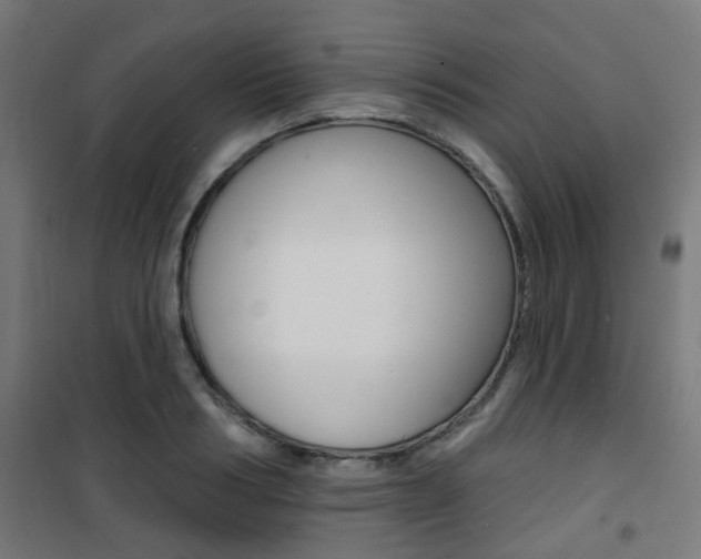 X0000101400986200807071025