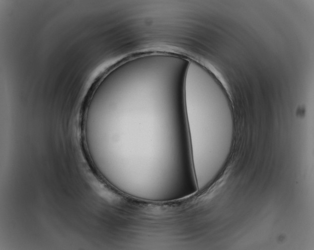 X0000101400987200807071025