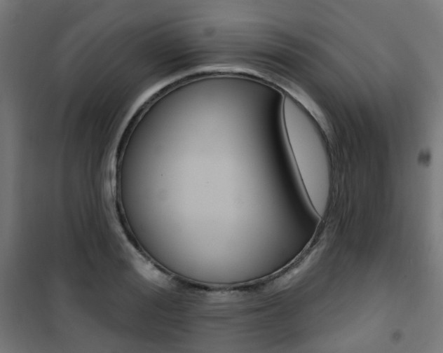 X0000101400988200807071025