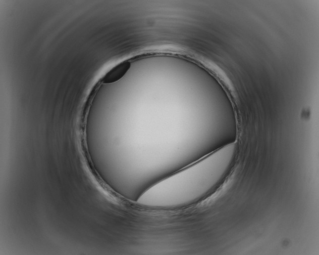 X0000101400989200807071025