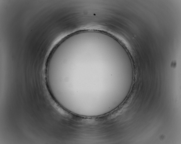 X0000101400990200807071025