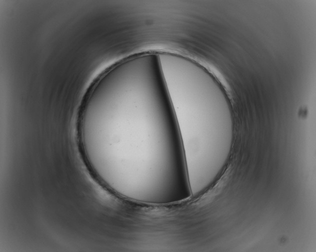 X0000101400991200807071025