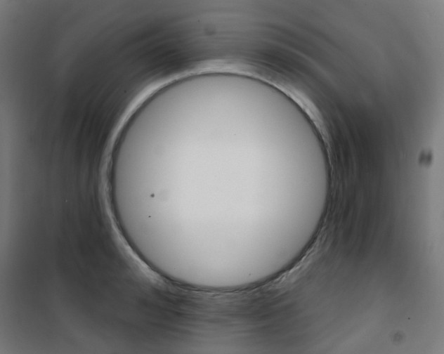 X0000101400992200807071025