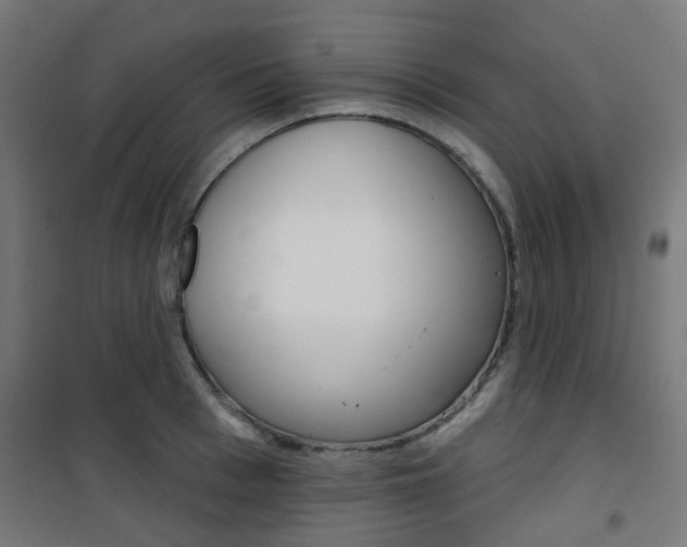 X0000101400993200807071025