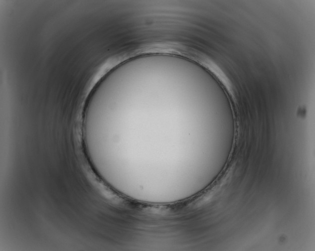 X0000101400994200807071025