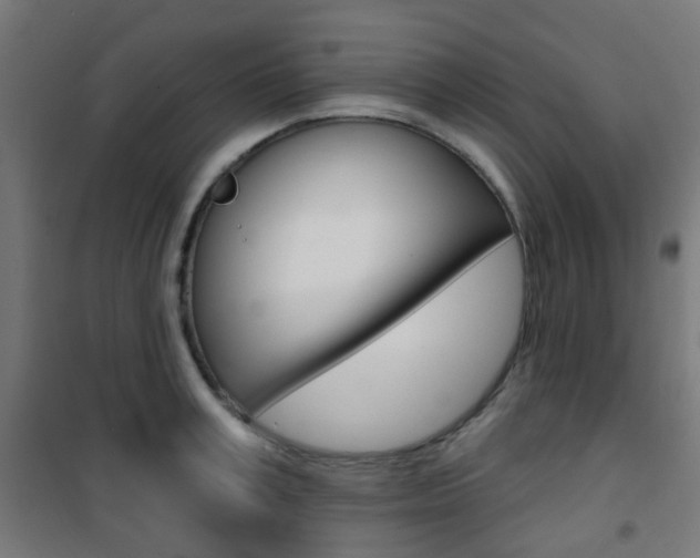 X0000101400995200807071025