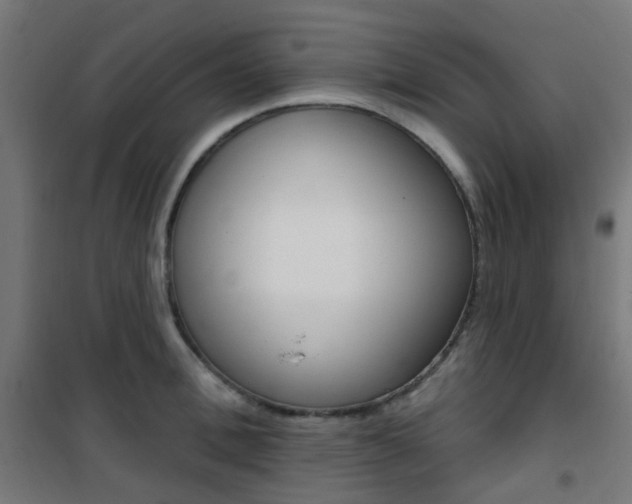 X0000101400996200807071025