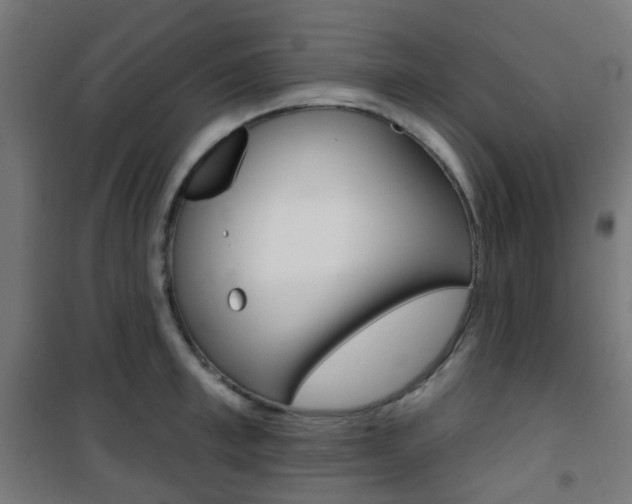 X0000101400997200807071025