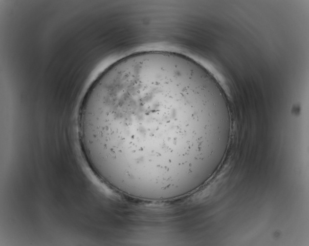 X0000101400998200807071025
