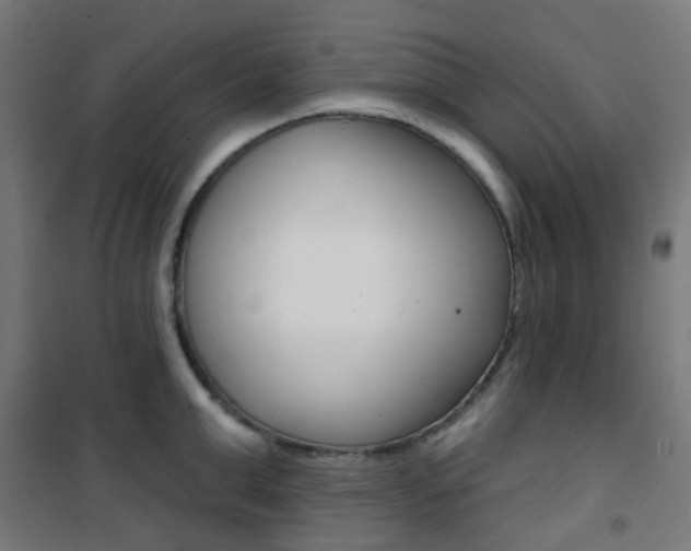 X0000101400999200807071025