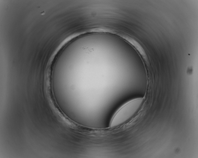X0000101401000200807071025