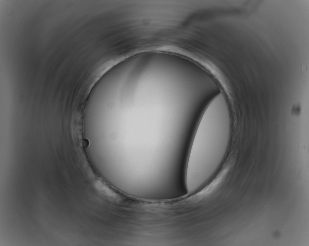 X0000101401001200807071025