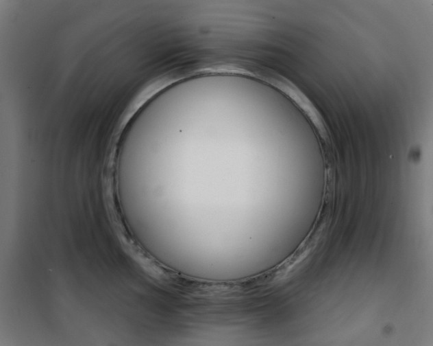 X0000101401002200807071025