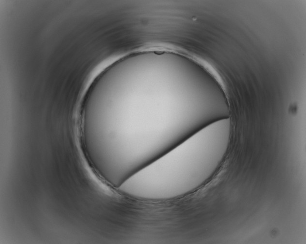 X0000101401003200807071025