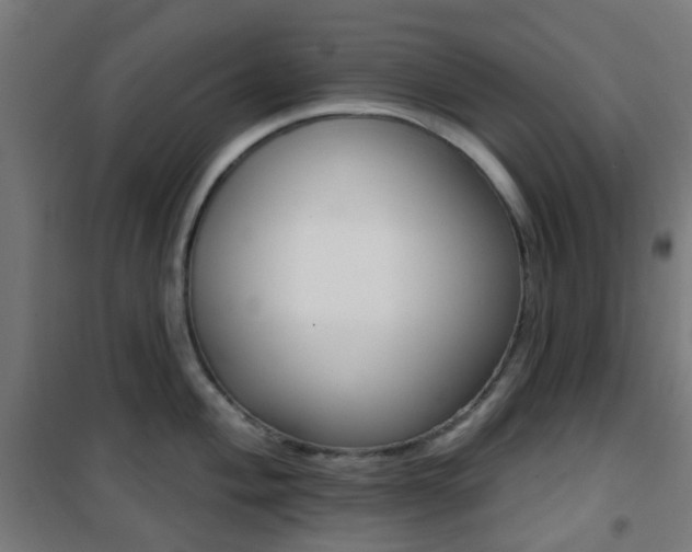 X0000101401004200807071025