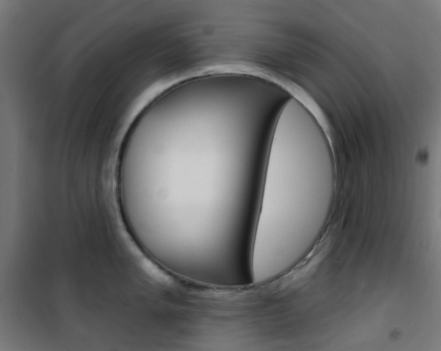 X0000101401005200807071025