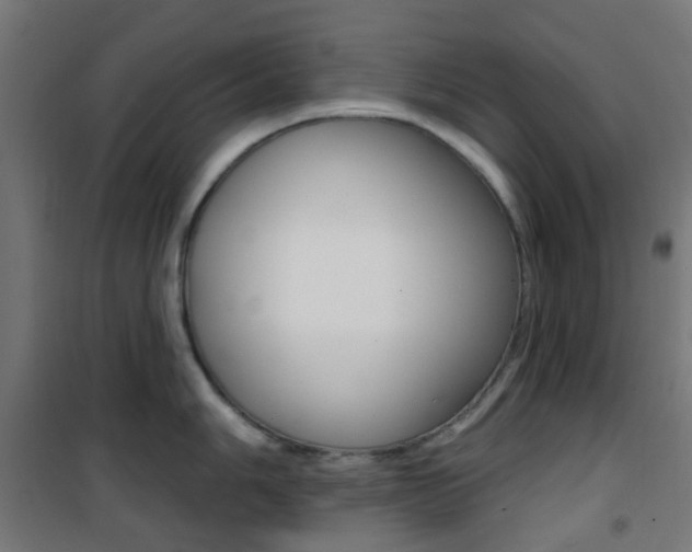X0000101401006200807071025