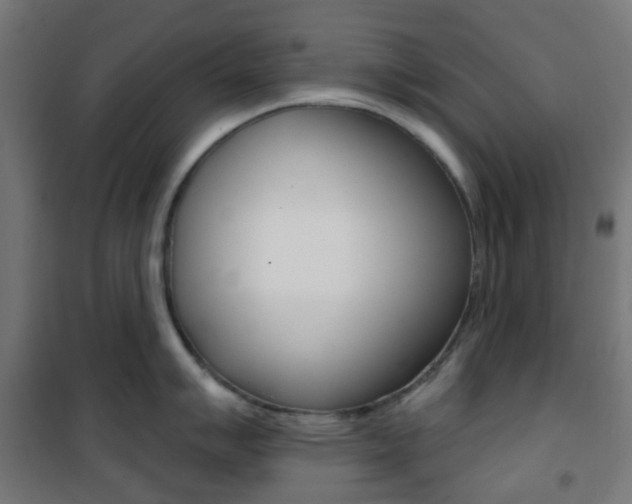 X0000101401007200807071025